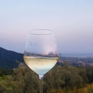 Bed & Breakfast Vinomare 